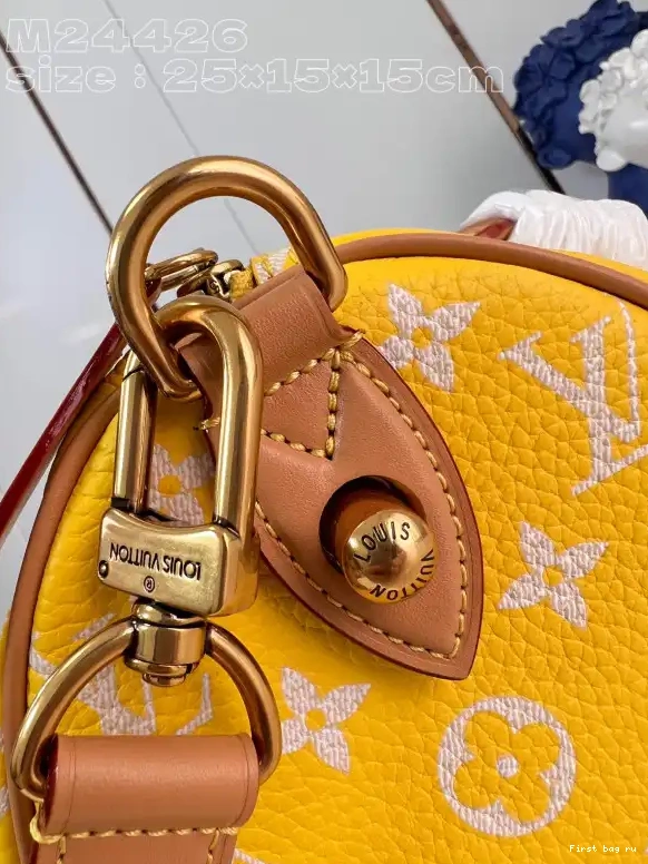 First bag ru SPEEDY Louis Vuitton 25 0405